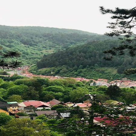 Johann Gott Suite Braşov Dış mekan fotoğraf