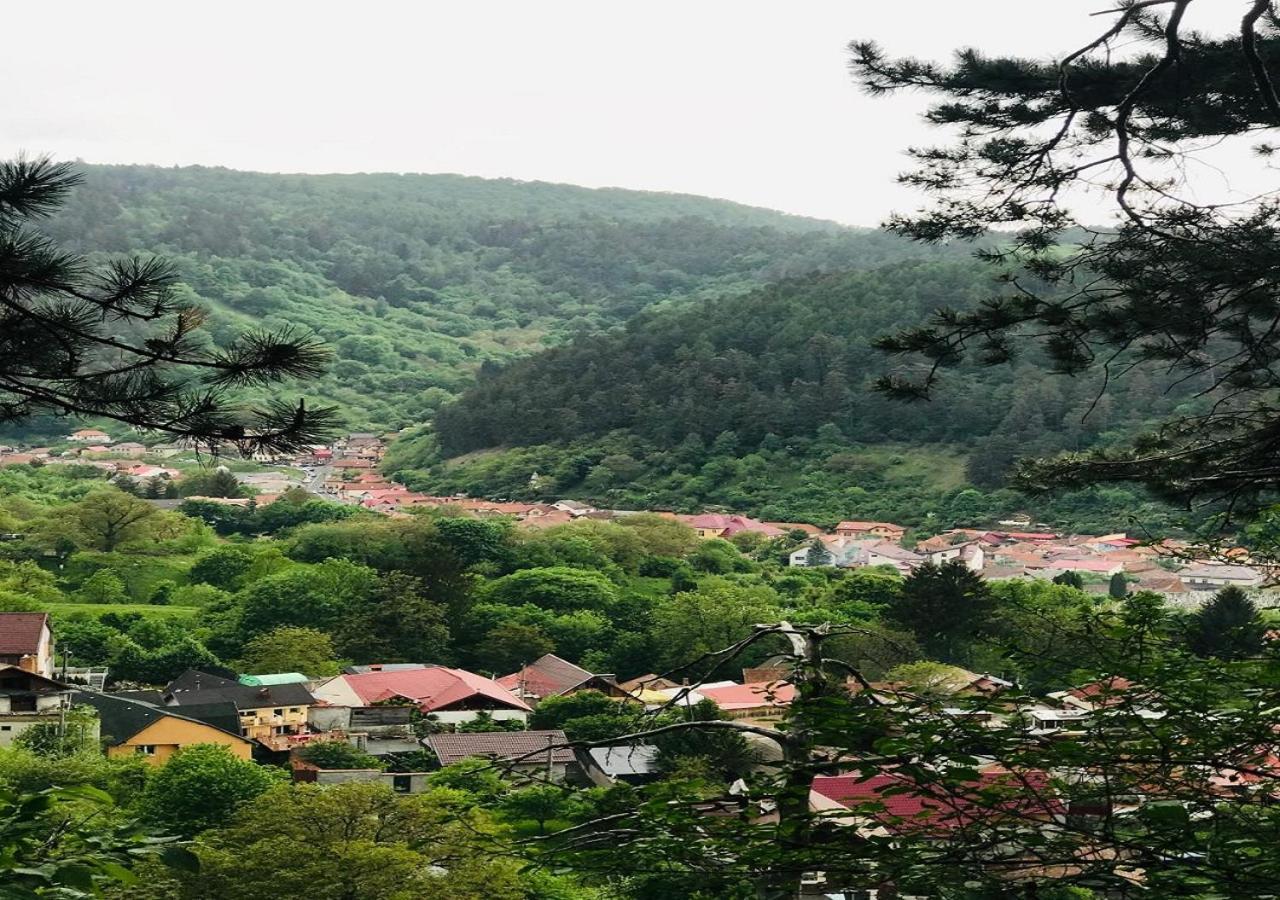 Johann Gott Suite Braşov Dış mekan fotoğraf